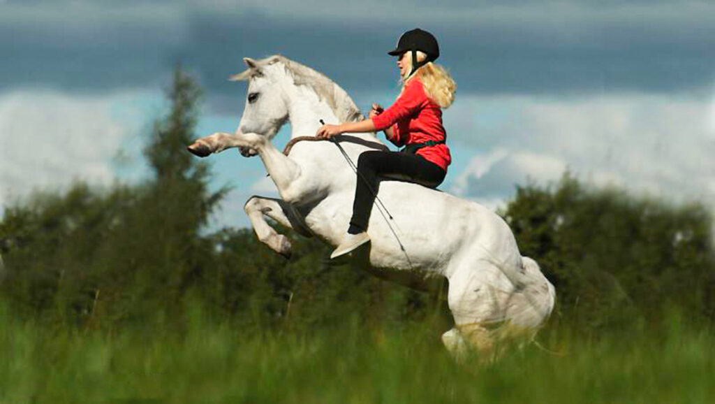 Meisje met pony witte in open veld