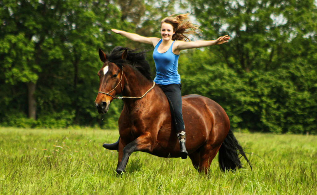 Meisje met pony in open veld