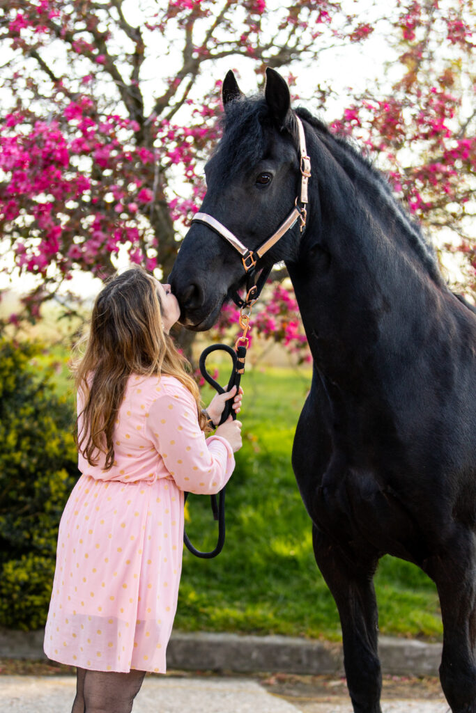 Fries paard en een vrouw tussen de roze bloesem